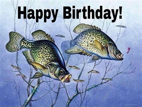 15 Funniest Happy Birthday Fishing Meme Images - Nine Bro | Happy ...