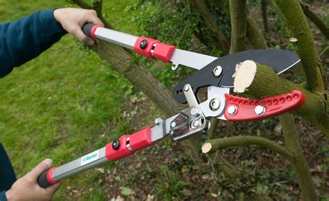 Darlac Heavy Duty Telescopic Ratchet Lopper DP974 | Easy Garden Watering