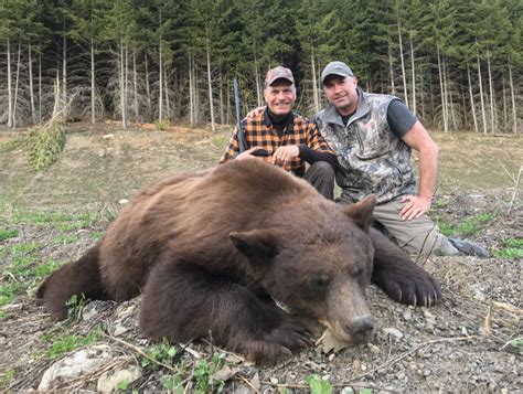 Coastal Black Bear Hunting, British Columbia | Covert Outfitting