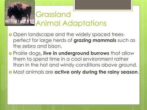 PPT - Biome Adaptations & Niches PowerPoint Presentation - ID:2655272