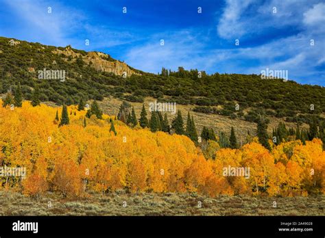 Logan canyon national scenic byway hi-res stock photography and images ...