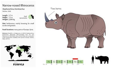 Theropoda