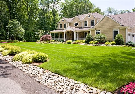 Become A Better Homeowner: 5 Ways Organic Lawn Care Can Help