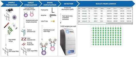 Molecular Assays - Cellomatics Biosciences