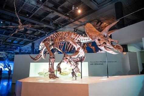 Houston Museum of Natural Science, Houston | Tickets & Tours - 2024