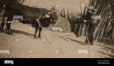 Madrid, spain may 1951: Vintage photo of a torero being trained in ...