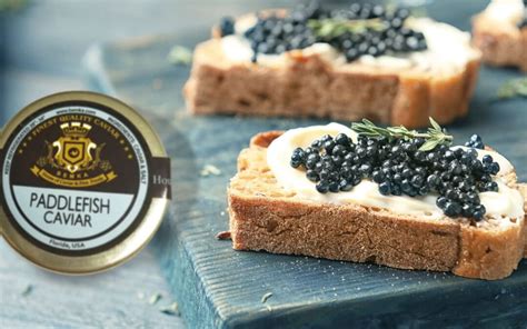 Producing American Paddlefish Caviar