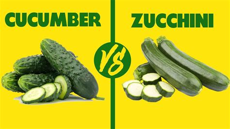 Cucumber vs Zucchini: How Do They Compare (Which Comes Out on Top ...