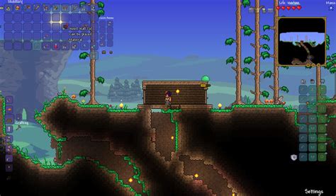 Resolved - Door bug/issue??? | Terraria Community Forums