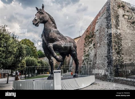 Leonardo da vinci horse hi-res stock photography and images - Alamy