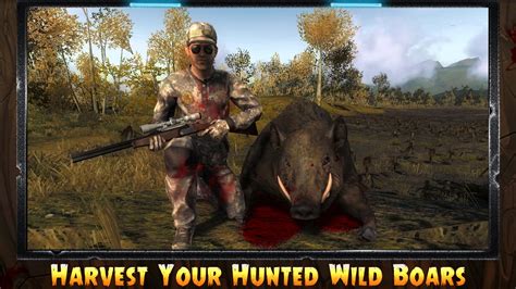 Pig Hunting Shooting Game