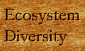 Ecosystem Diversity - What A Wonderful Bio-diversified Planet