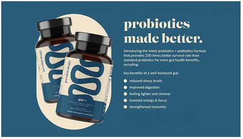 Best Probiotic Supplements for Gut Health & Digestion Men & Women - The ...