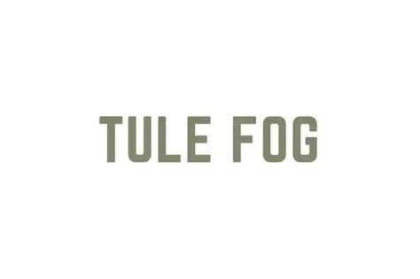 Tule Fog | Vector Grey