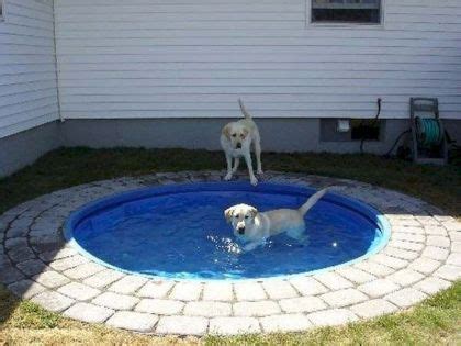 55 Inspiring DIY Backyard Projects for Your Pets - Home-dsgn | Dog pool, Dog playground, Kiddie pool