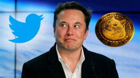 Elon Musk Changes Twitter Logo To Dogecoin; DOGE Price To Skyrocket?