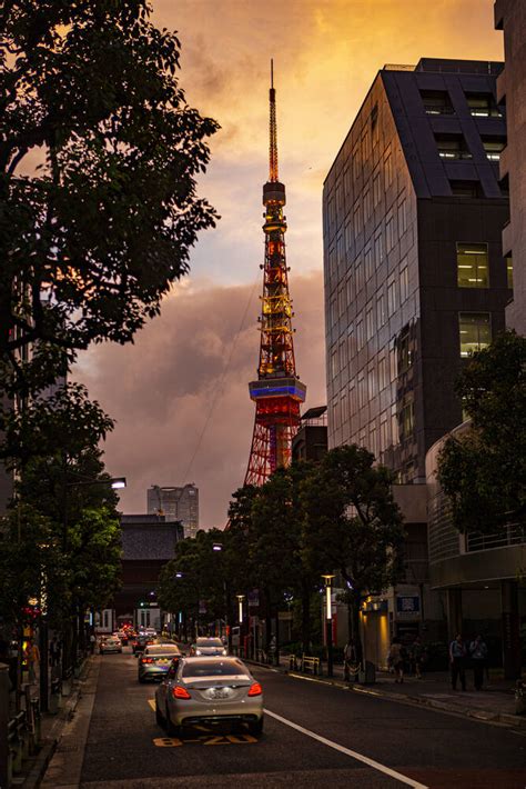 Tokyo tower sunset - Photographic print for sale