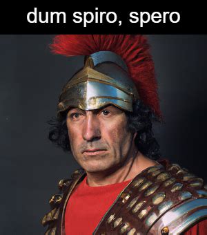 What does the Latin term "dum spiro, spero" mean?