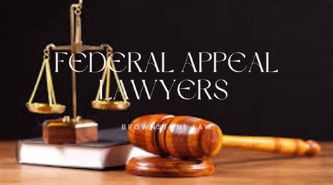 Understanding the Role of Appellate Criminal Lawyers: A Guide to ...