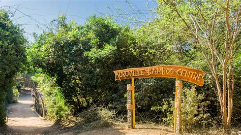 Auroville Architecture | Sustainable Practices on Behance