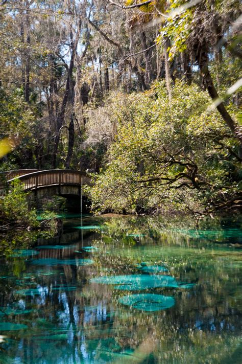 Camping at Juniper Springs in Ocala National Forest, Florida « Hidden Travel Treasures.com