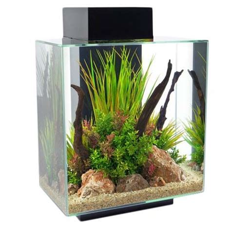 Cold Water Fish Tanks | Cold Water Fish Aquariums | Jollyes