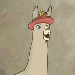 Llamas with hats Blank Template - Imgflip