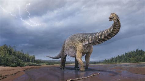 New Sauropod Species Is Australia’s Largest Dinosaur to Date | Mental Floss