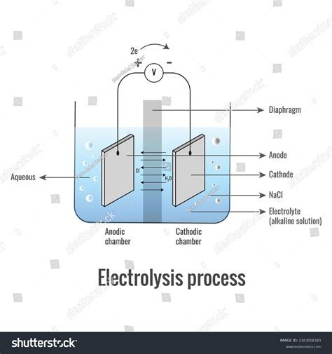 Electrolysis Sodium Chloride Labeled Diagram Show Stock Vector (Royalty Free) 2163058383 ...