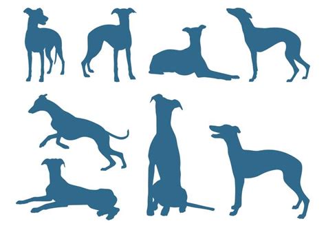 greyhound silhouette clipart 10 free Cliparts | Download images on ...