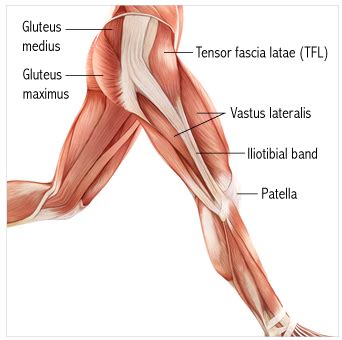 Turning down TFL | Modern Manual Therapy Blog