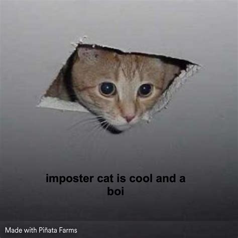 Ceiling Cat Memes - Piñata Farms - The best meme generator and meme ...