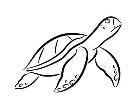 Sea turtle drawing black lines on a white background. 10436777 Vector Art at Vecteezy