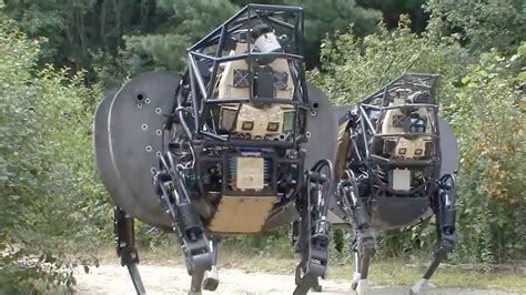 Robot Pets of the Future - YouTube