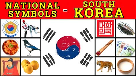 National Symbols of South Korea 🇰🇷 | 한국의 국가 상징 | #southkorea - YouTube