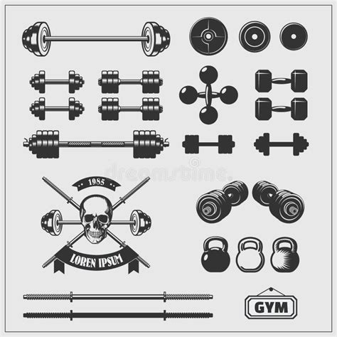 Set of Gym Equipment and Design Elements. Stock Vector - Illustration ...