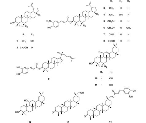 Structure of triterpenes (1-14) isolated from C. orbicatus | Download Scientific Diagram