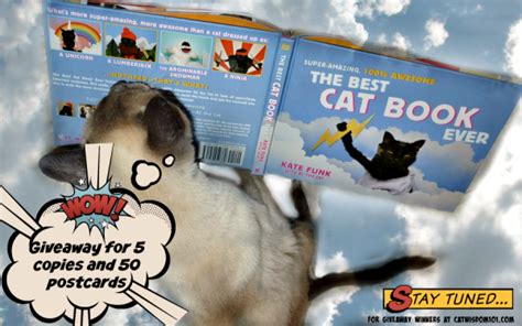 Star Trek For Cats | Cat Wisdom 101