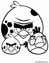 91 Angry Birds Coloring Pages  ColoringPagesOnlycom sketch template