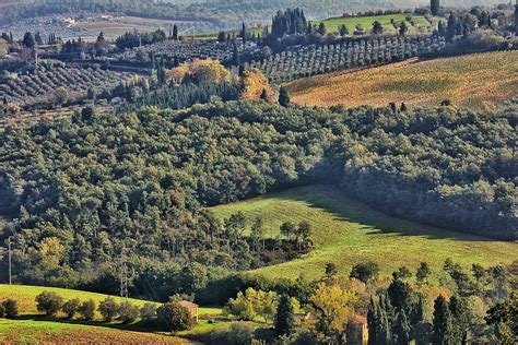 HD wallpaper: italy, landscape, tuscany, nature, hill, rural Scene, tree | Wallpaper Flare