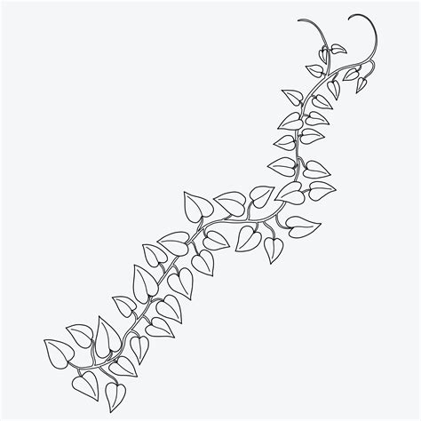 Floral ivy drawing decorative ornament flat design. 22314114 Vector Art at Vecteezy