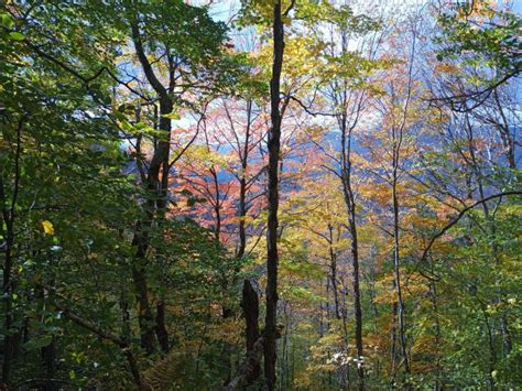 Best Hikes in Green Mountain National Forest (NH) - Trailhead Traveler