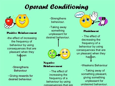 Operant conditioning and reinforcement (Psychology A-Level)