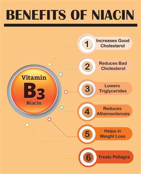 Niacin (Vitamin B3) | Which Supplements contain it and where is Required