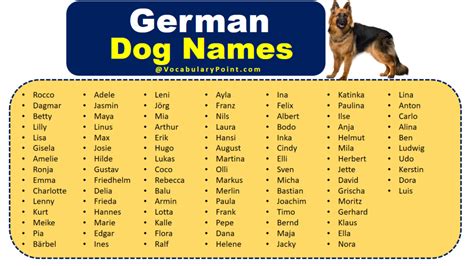 350+ Most Popular German Dog Names - Vocabulary Point