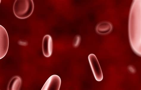 Red Blood Cell Wallpapers - Top Free Red Blood Cell Backgrounds ...