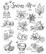 Spices Coloring Pages sketch template
