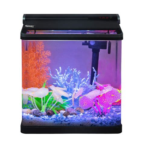 Buy Hygger Small Betta Fish Tank with LED Lighting, 4 Gallon Desktop ...