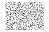 Floral Coloring Page Book For Adults Graphic By Stromgraphix · Creative  sketch template