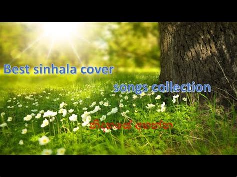 Best cover songs 😍😍🤩 - YouTube